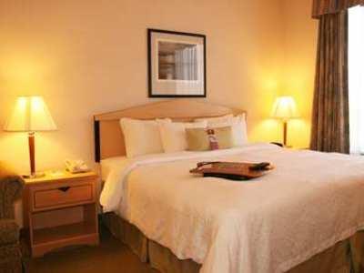 Hampton & San Francisco-burlingame-airport South Hotel 3*